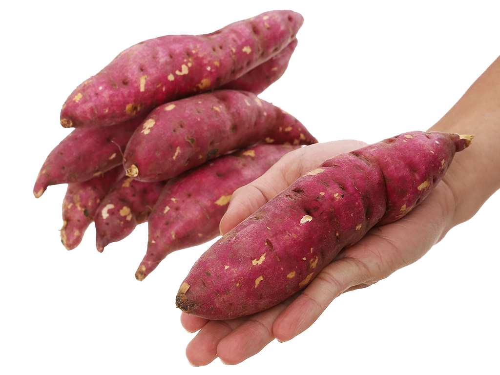 khoai-lang-nhat-tui-1kg-4-10-cu-202205201543286468